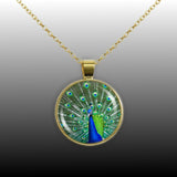 Green & Cobalt Blue Peacock Displaying His Feathers Photo 1" Pendant Cable Chain Necklace in Silver Tone or Gold Tone